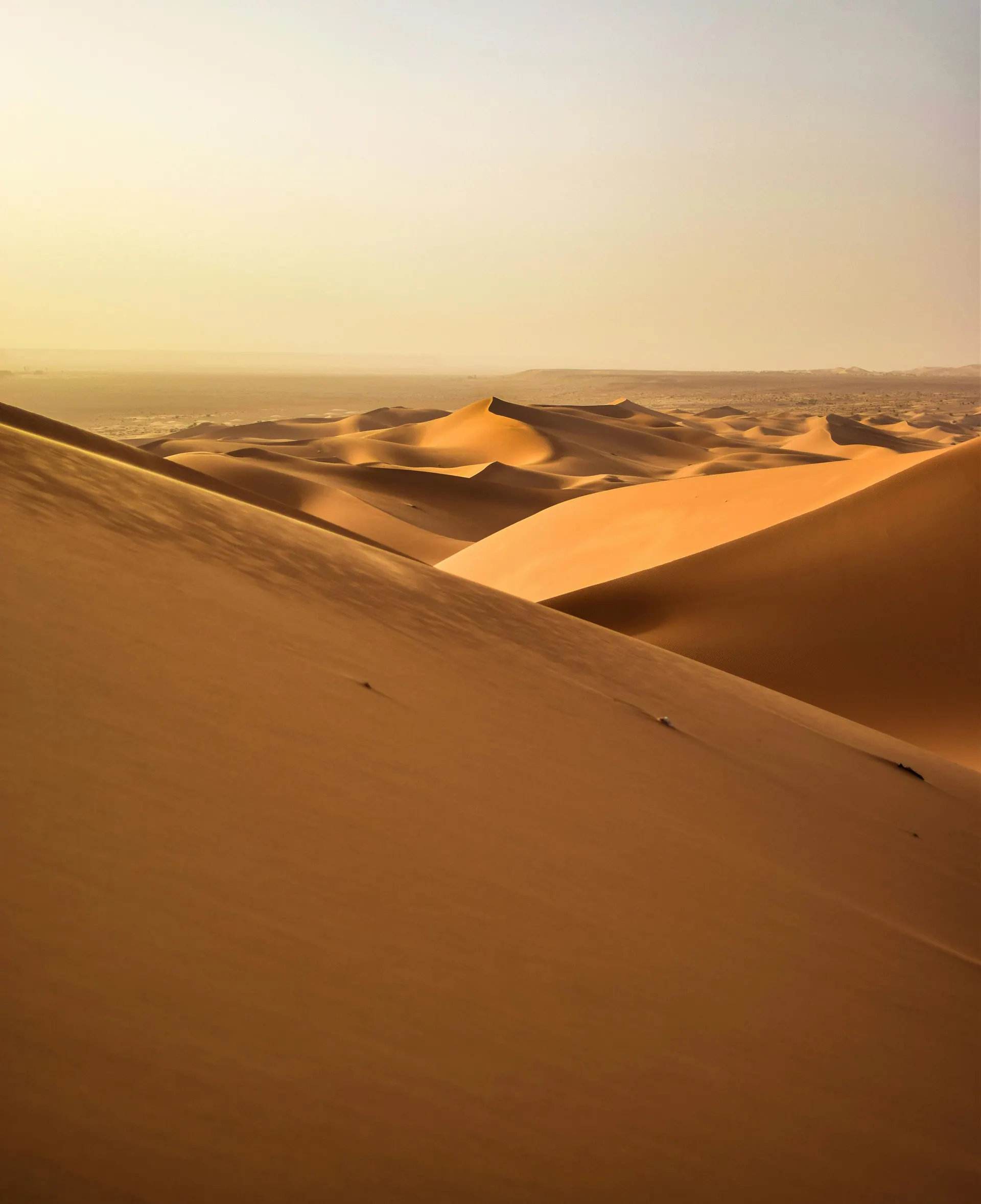 Equip Auto Algeria 2025